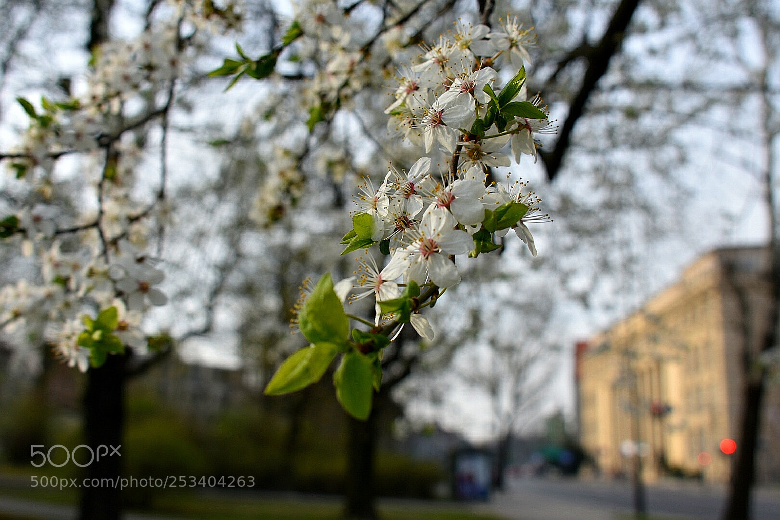 Nikon D3400 sample photo. Untitled photography