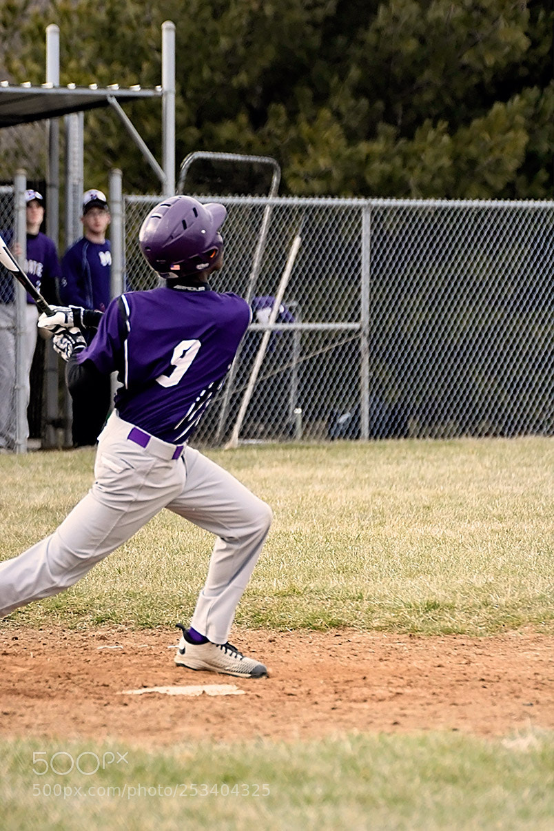 Nikon D500 sample photo. 4-10_0113.jpg photography