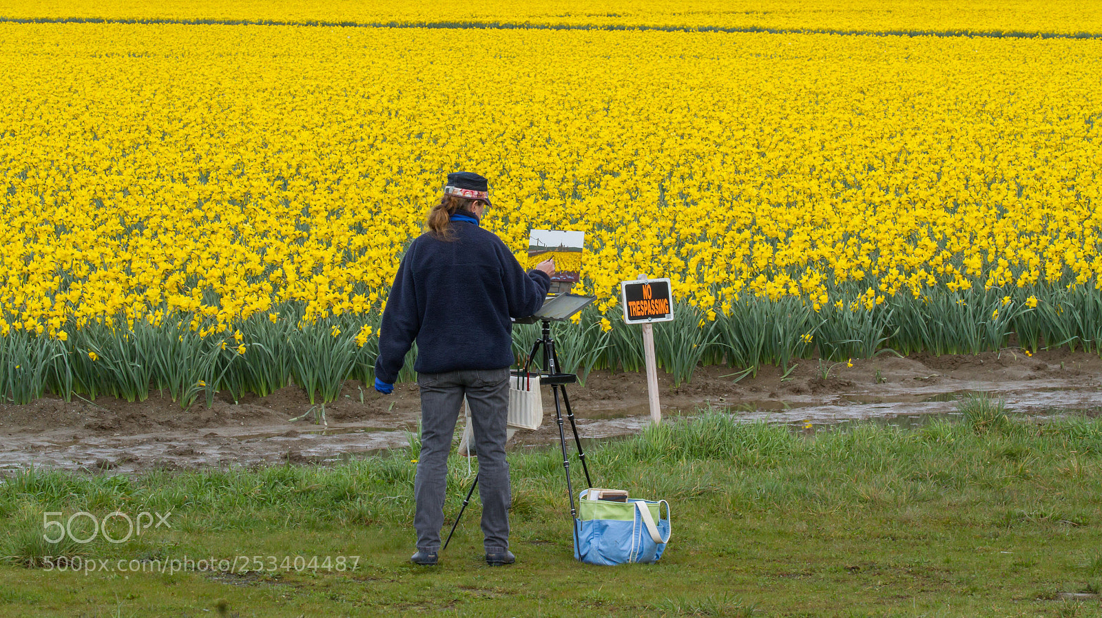 Canon EOS 7D sample photo. Daffodils  photography