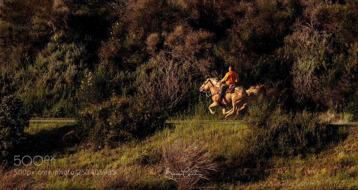 Canon EOS 7D Mark II sample photo. Riding in to the photography