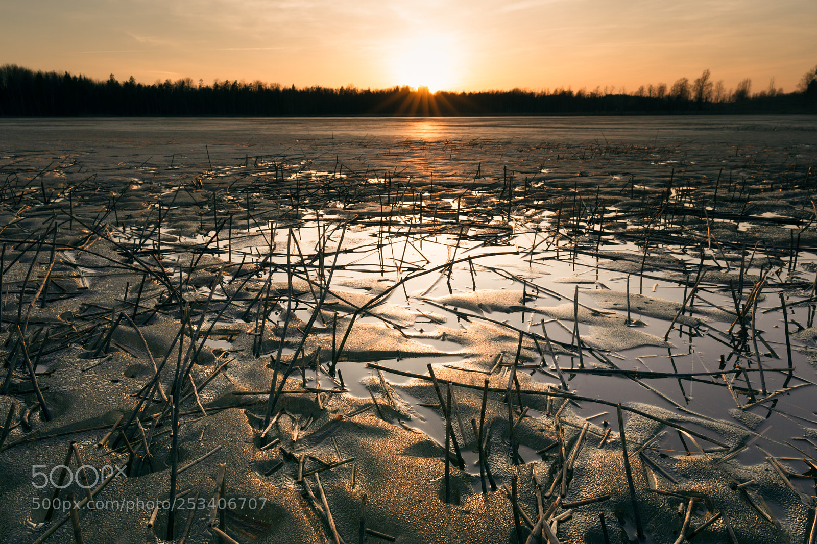 Sony a6000 sample photo. Sharp view photography