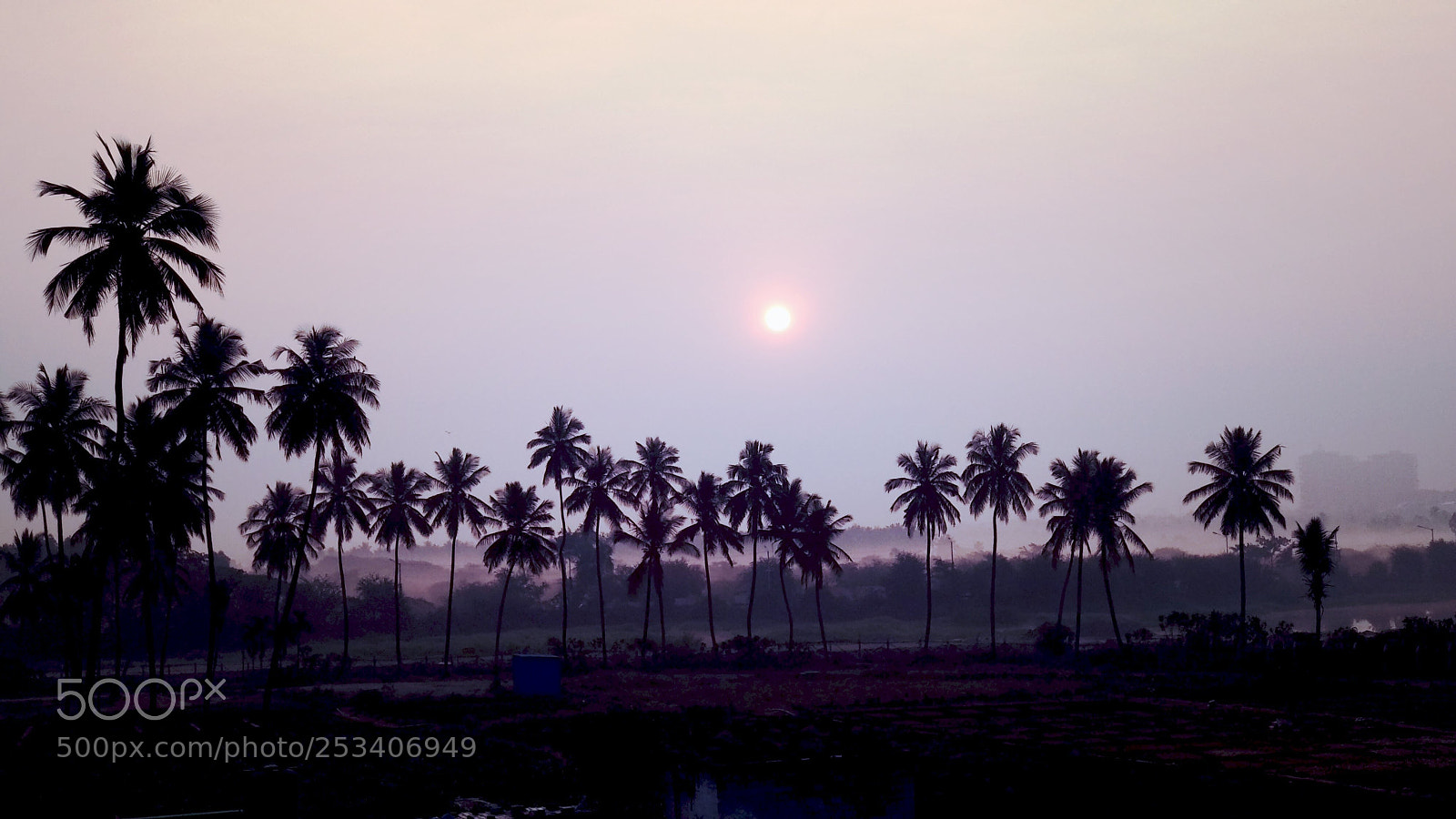 Xiaomi Mi A1 sample photo. Sunset or sunrise photography