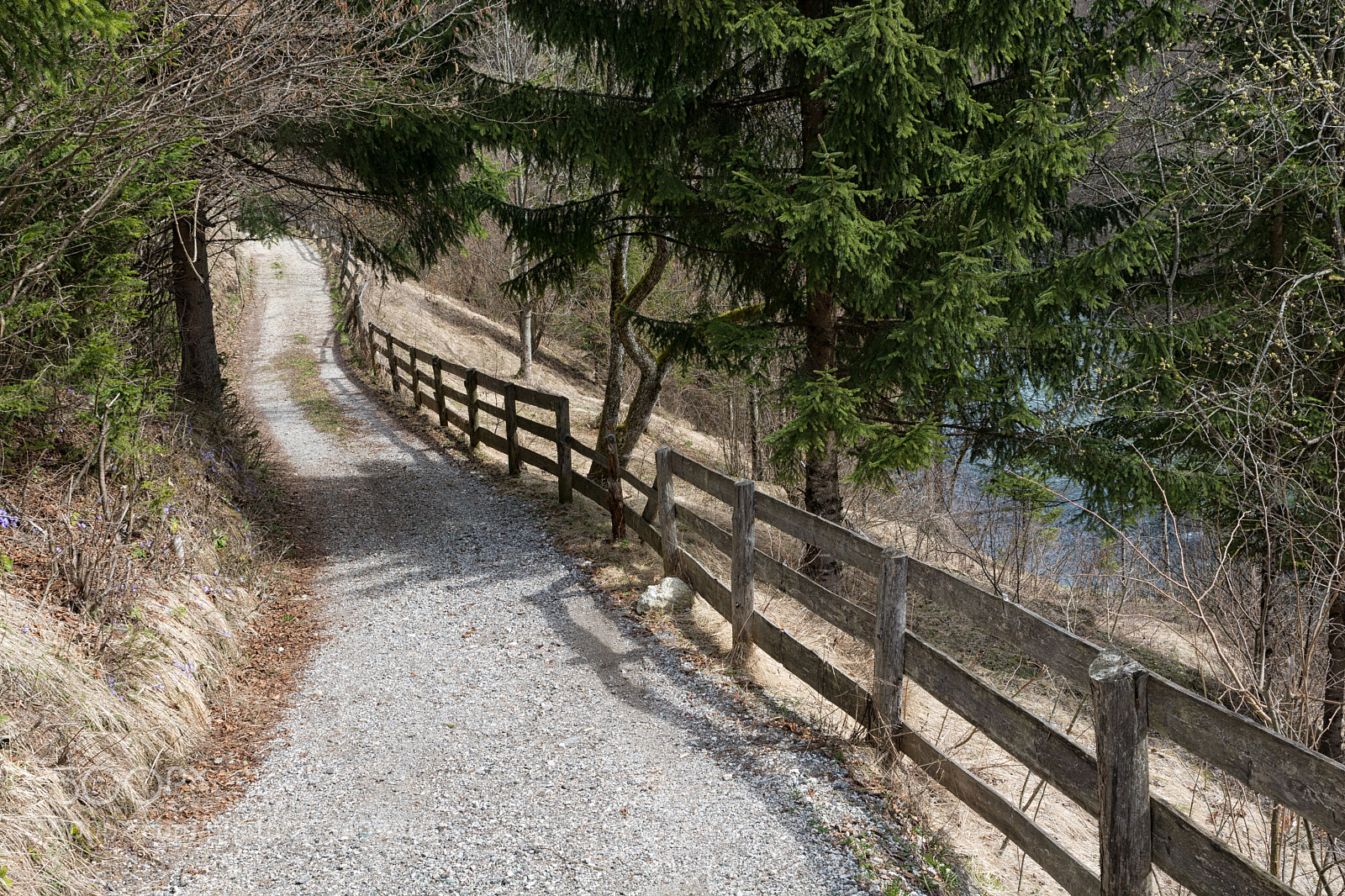 Nikon D7100 sample photo. The country road photography