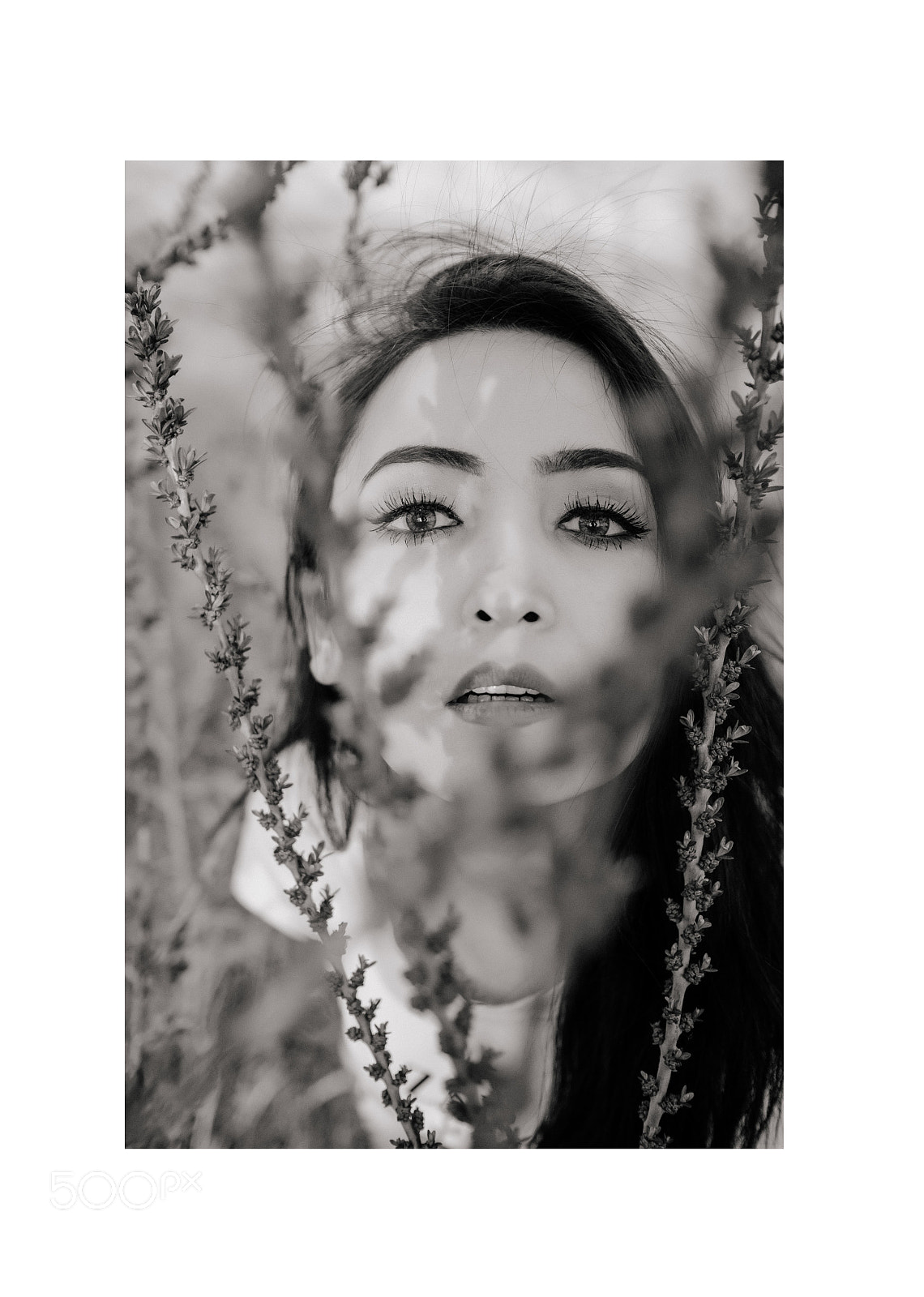Fujifilm X-T2 sample photo. Untitled photography