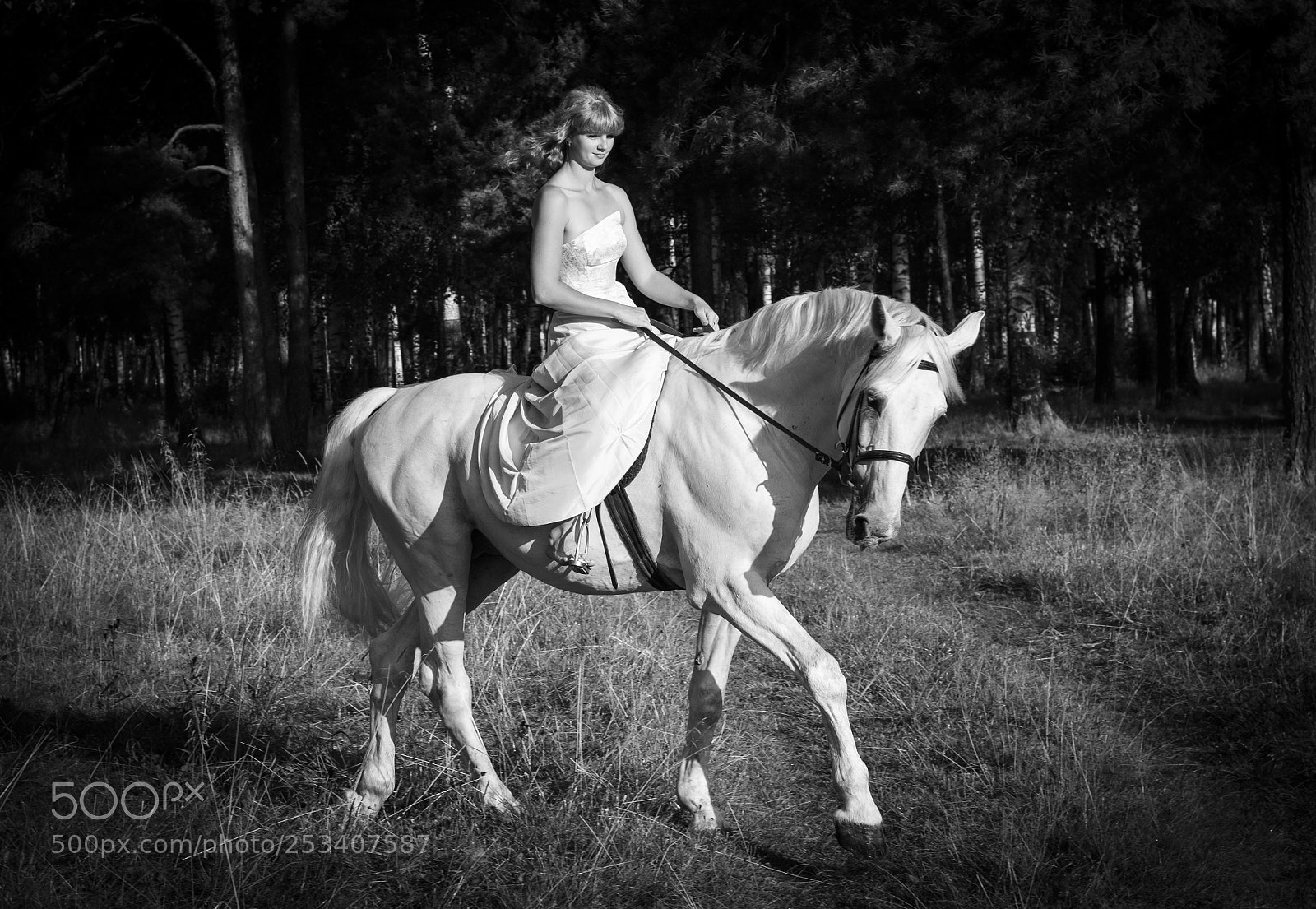 Canon EOS 550D (EOS Rebel T2i / EOS Kiss X4) sample photo. Morning ride photography