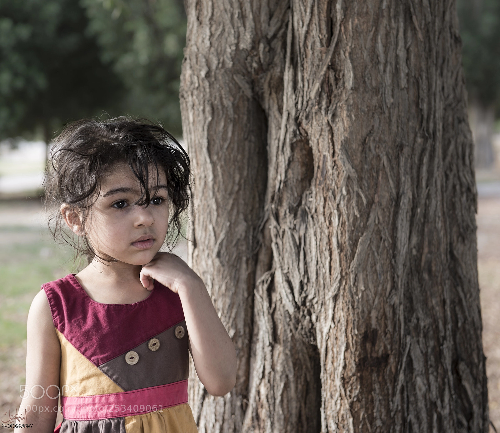 Nikon D610 sample photo. Amoor photography
