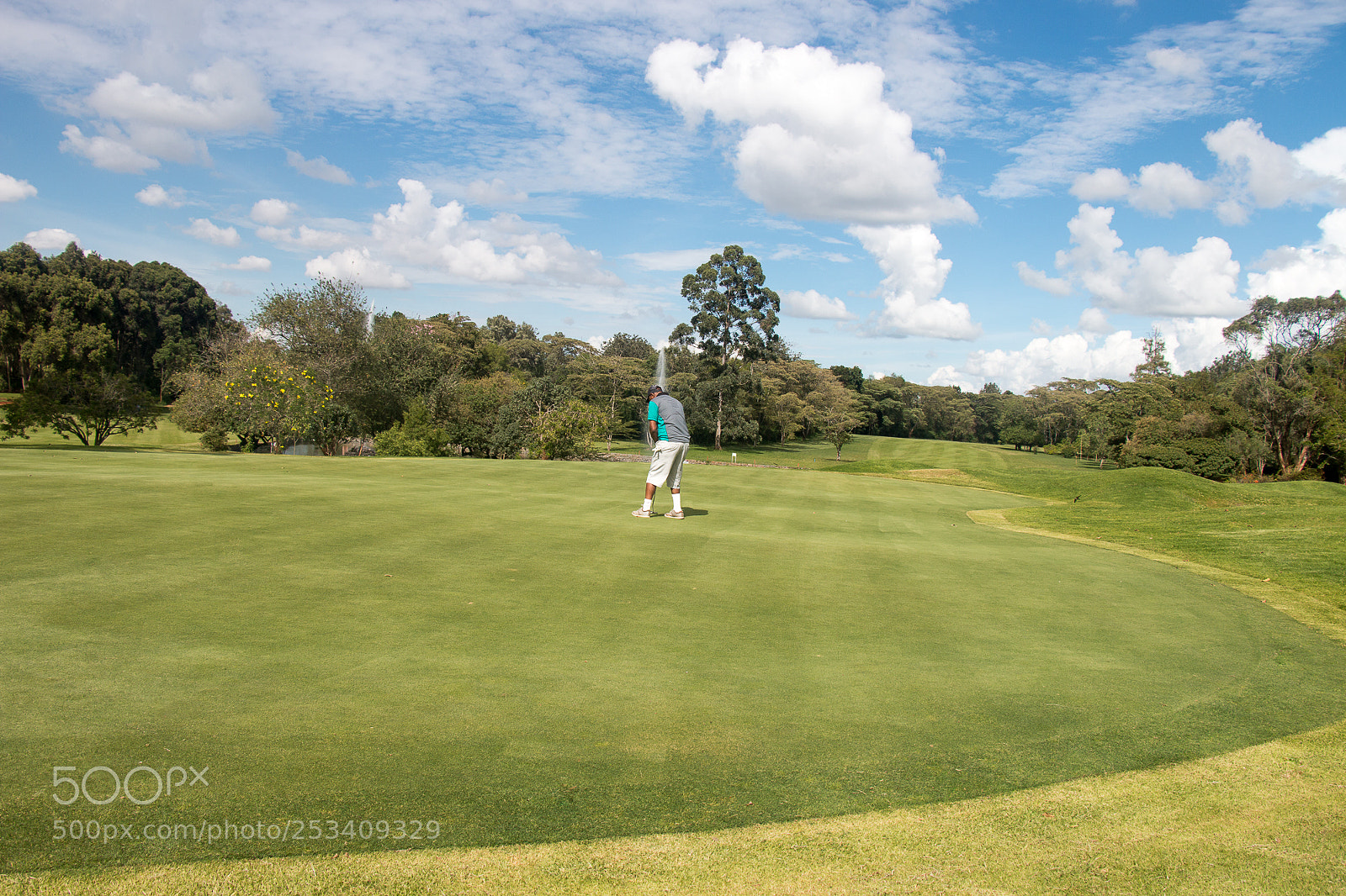 Canon EOS 70D sample photo. Aak golf tournament photography
