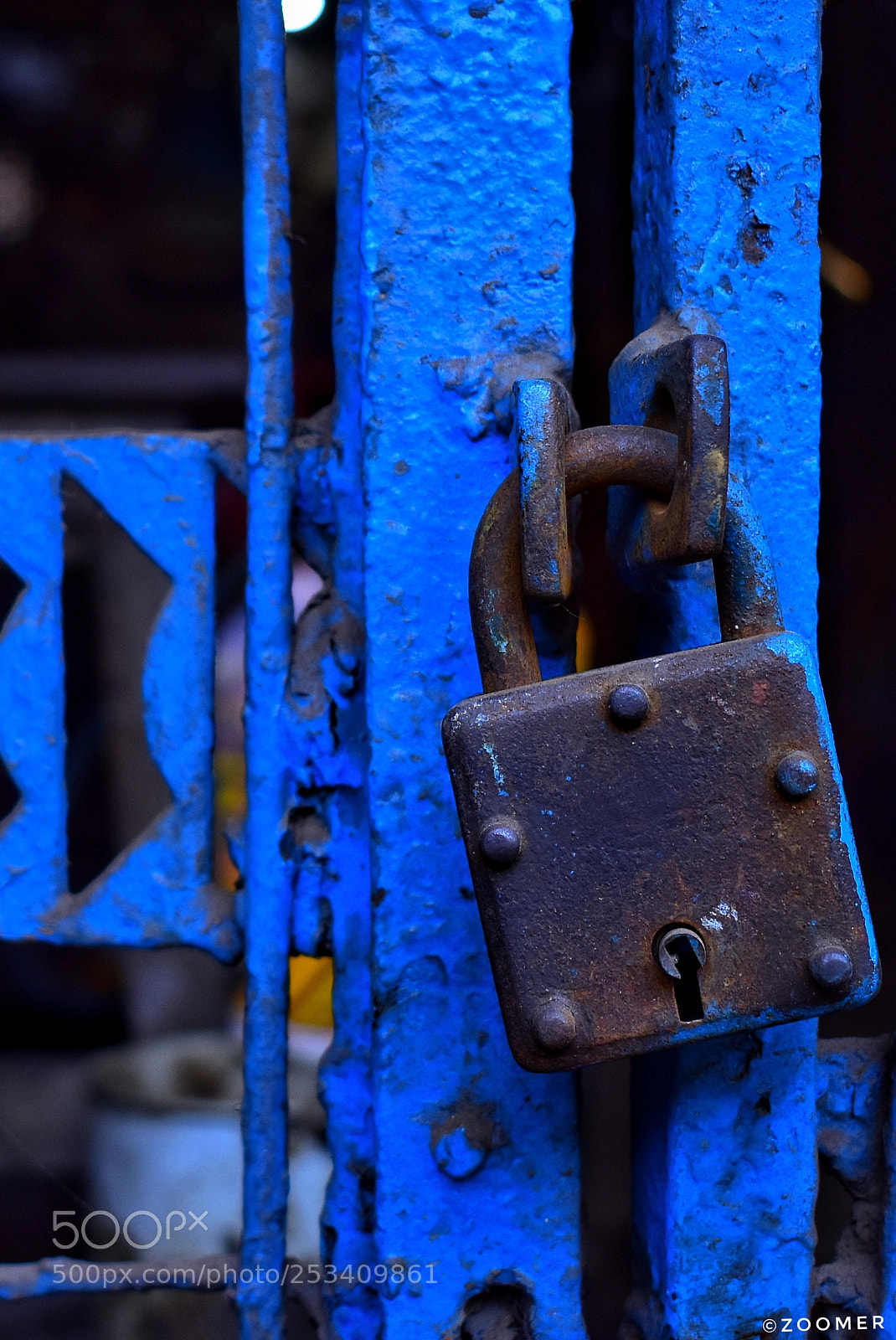 Nikon D5600 sample photo. Wallpaper 08 photography