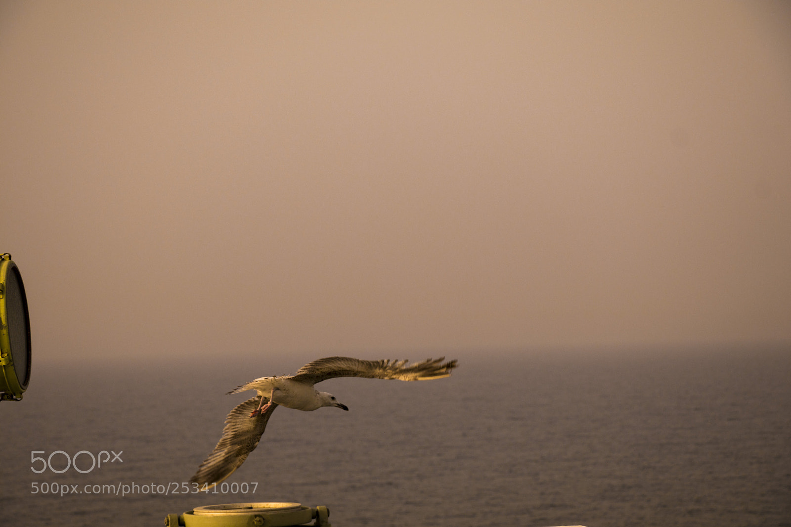 Canon EOS 80D sample photo. Freedom photography