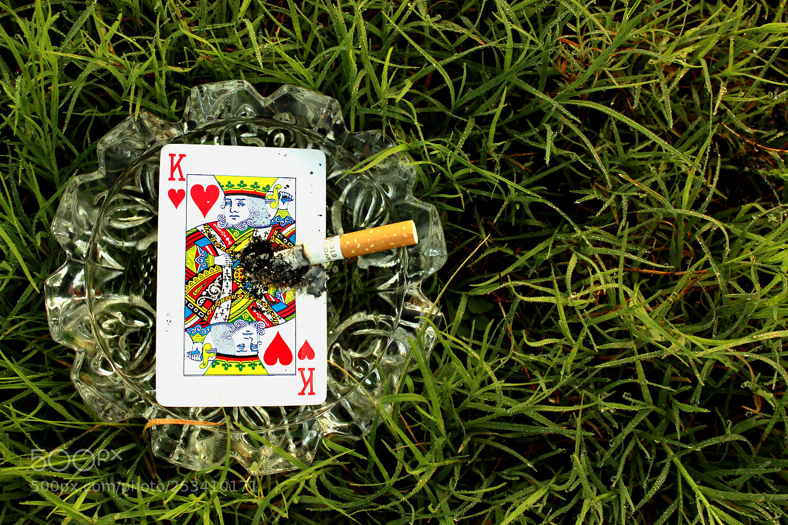 Canon EOS 700D (EOS Rebel T5i / EOS Kiss X7i) sample photo. Cigarette smoking is injurious photography