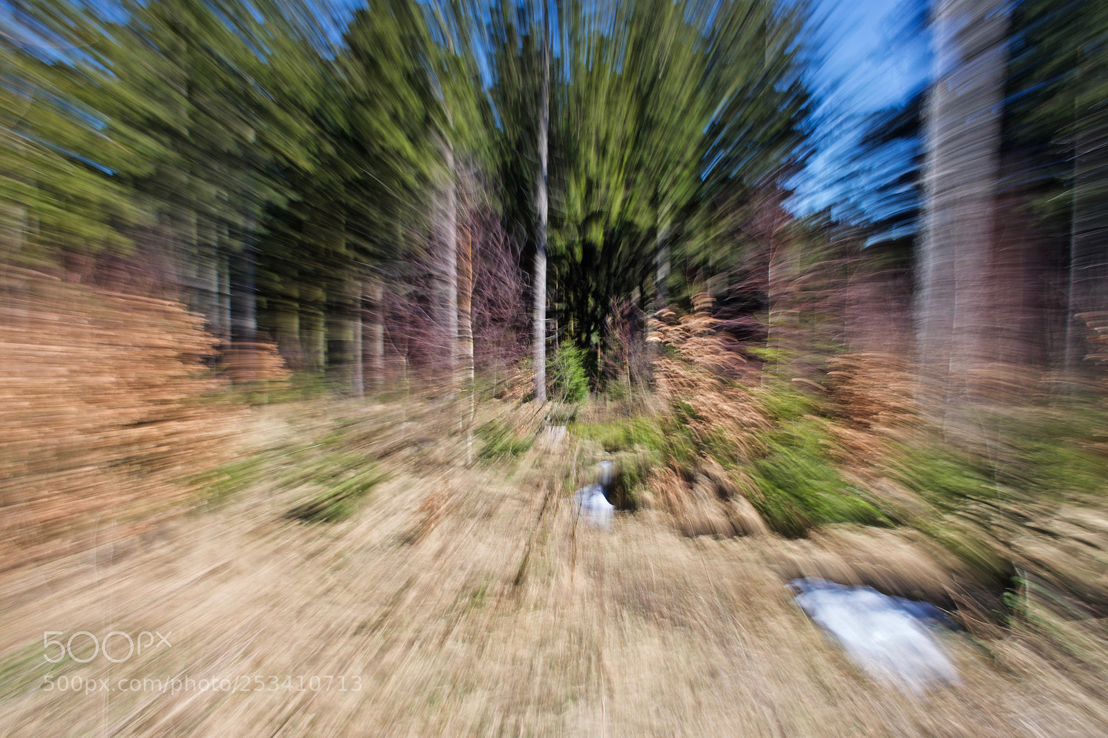Nikon D7200 sample photo. Into the forrest photography