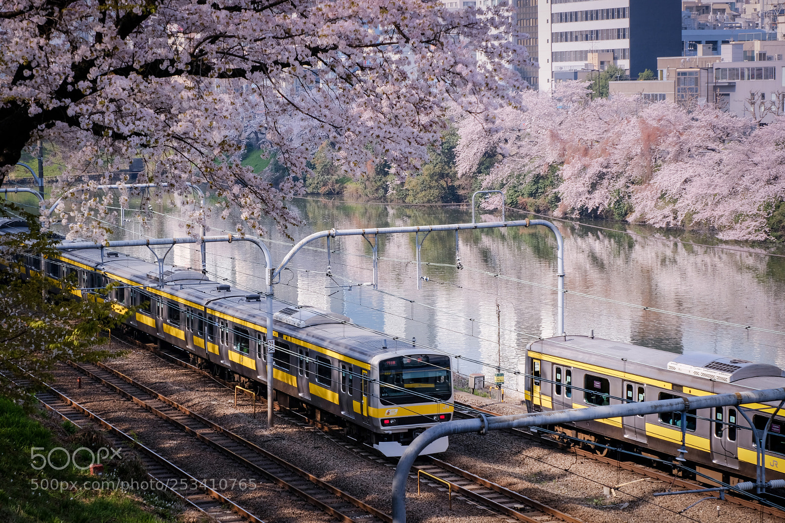 Fujifilm X-Pro2 sample photo. Spring tokyo photography