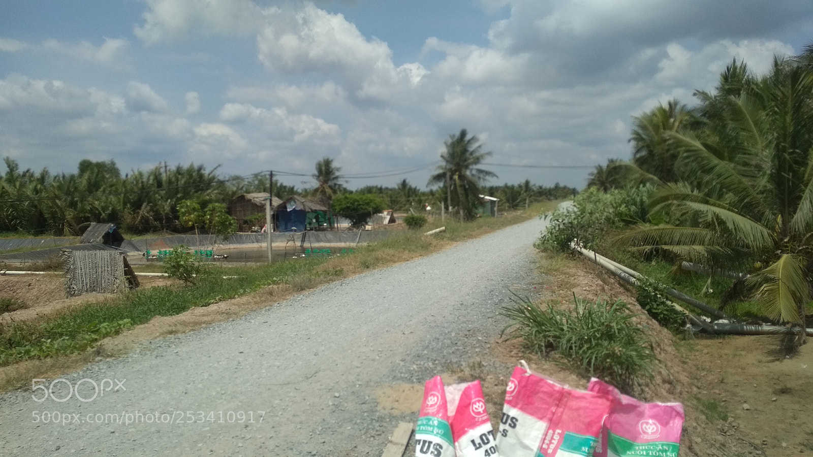 Xiaomi Redmi 4X sample photo. Summer photography