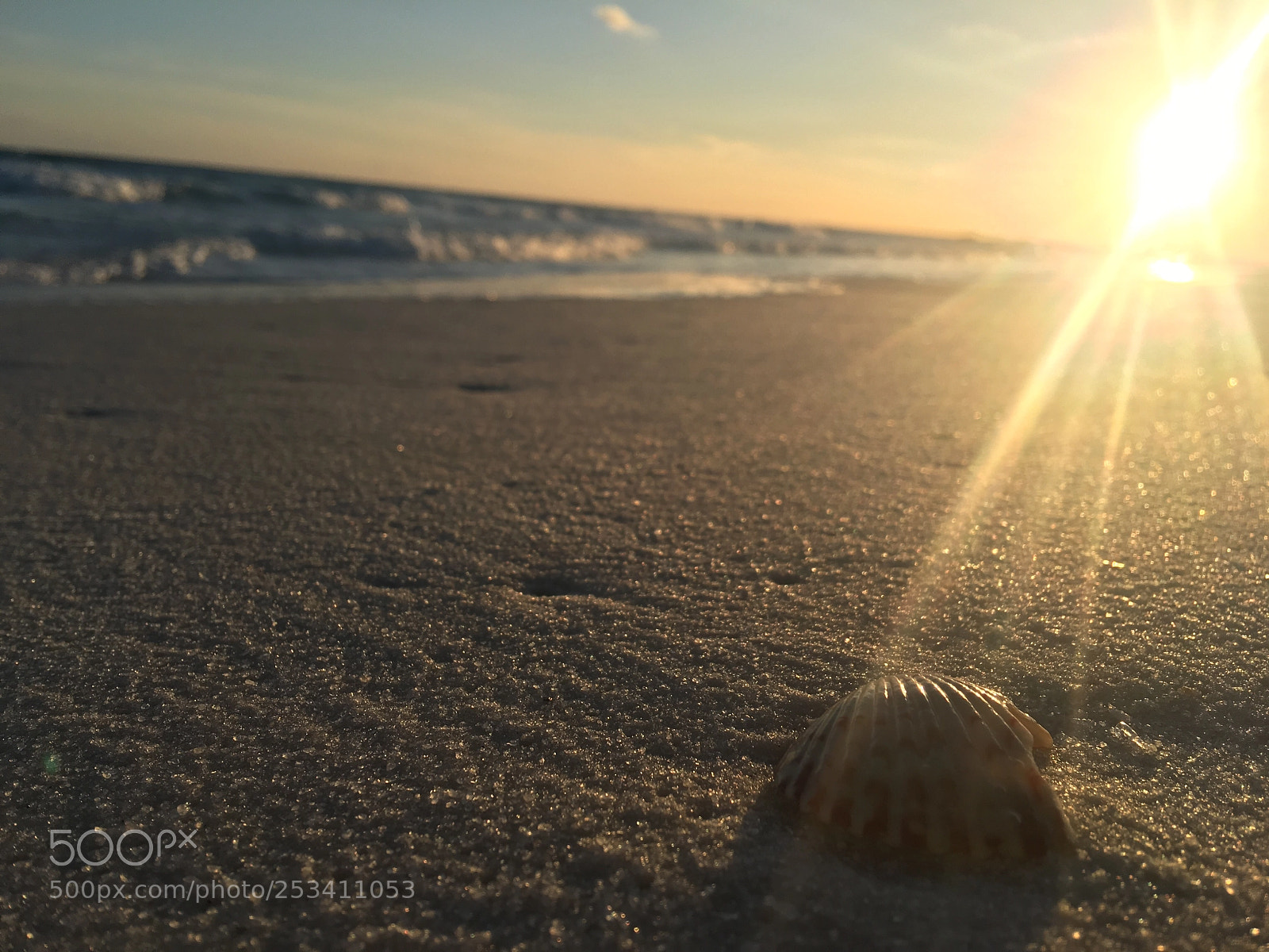 Apple iPhone 6s Plus sample photo. Seashell at sunset photography
