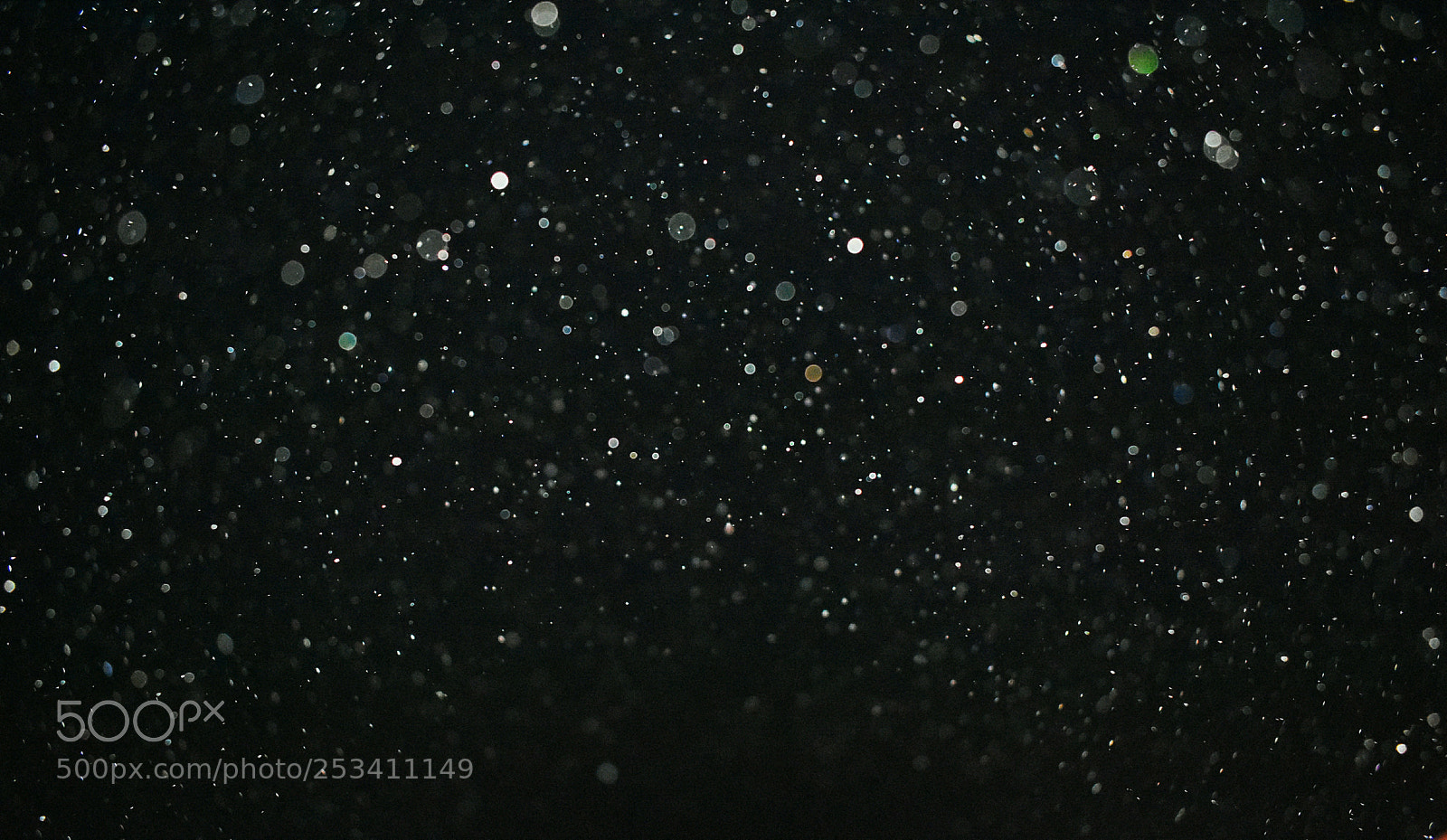 Nikon D3400 sample photo. Stars! no, dusts. photography