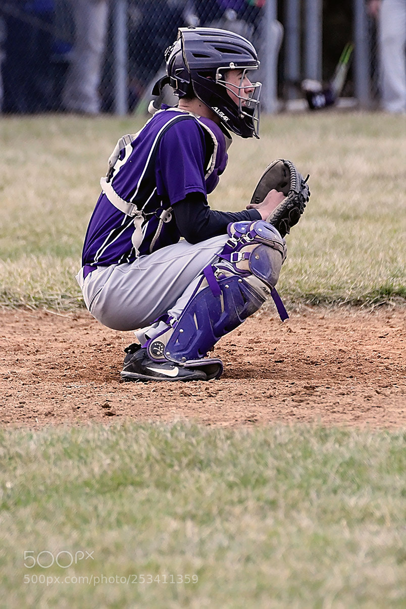 Nikon D500 sample photo. 4-10_0423.jpg photography