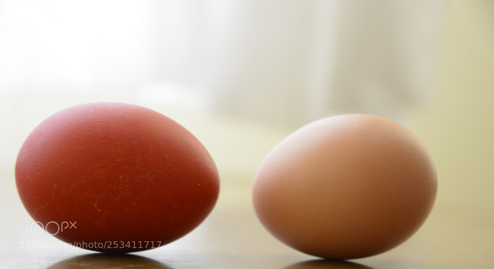 Nikon D7100 sample photo. Eg photography