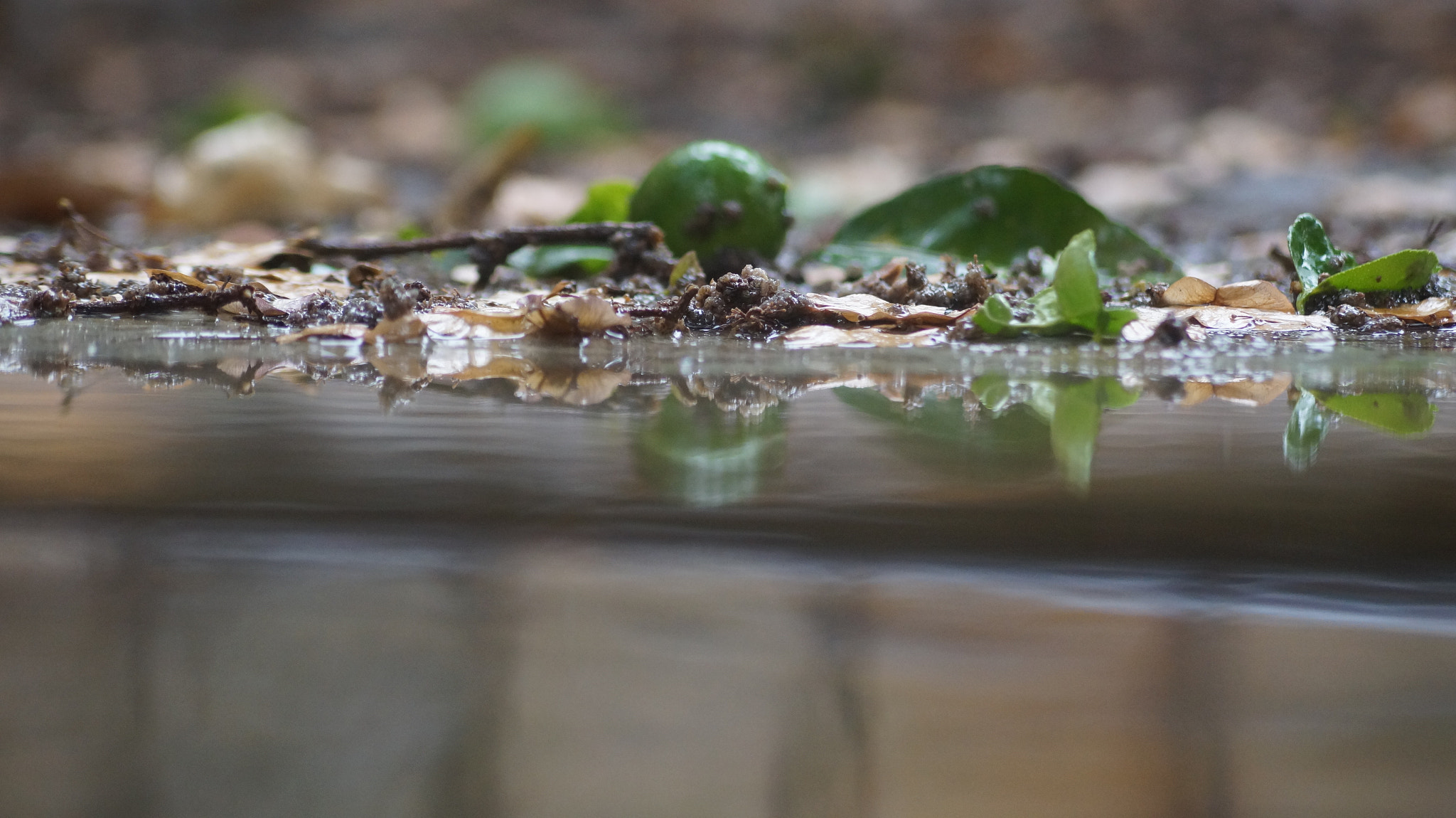 Sony SLT-A58 sample photo. Water photography