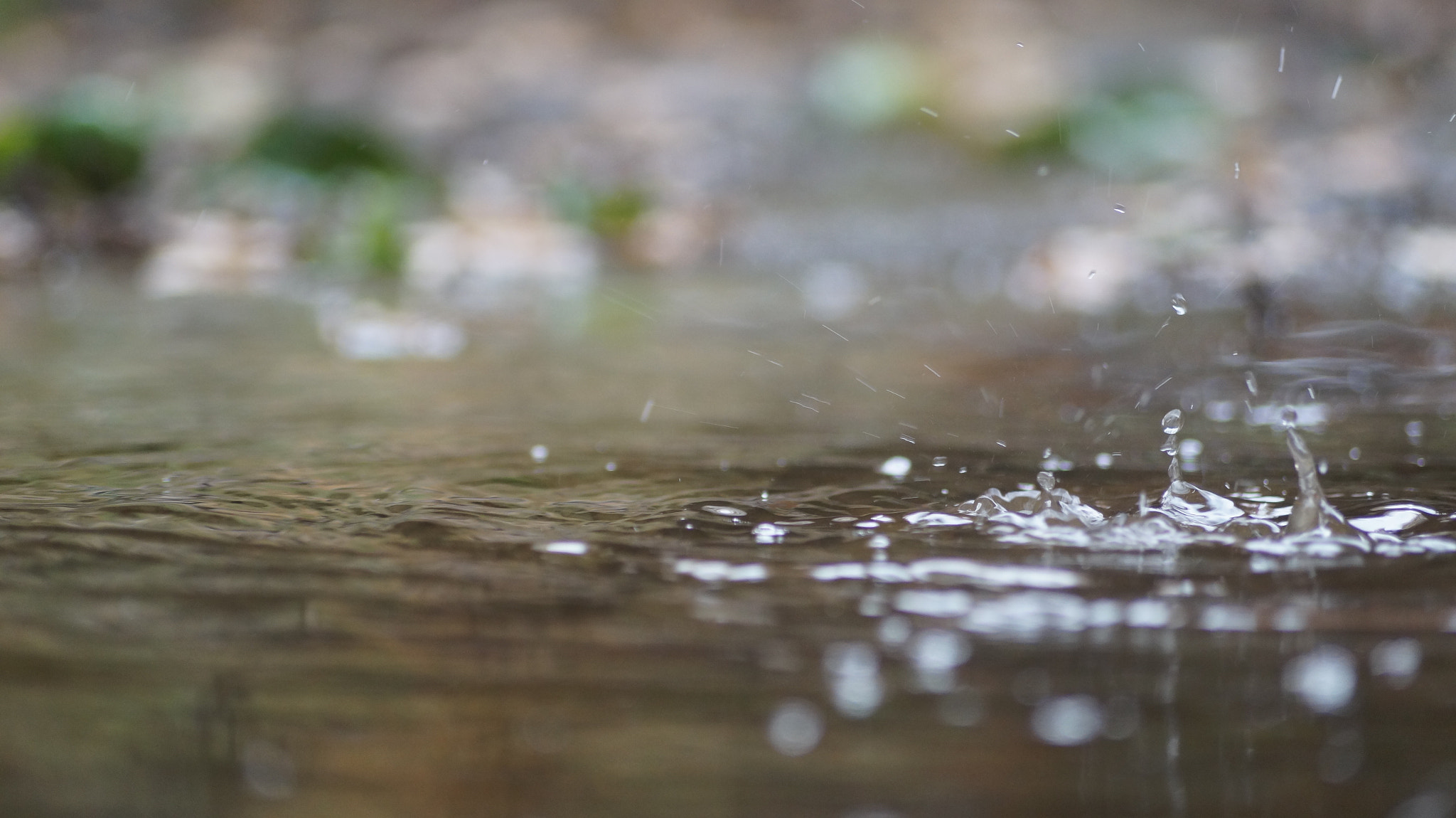 Sony SLT-A58 sample photo. Water photography