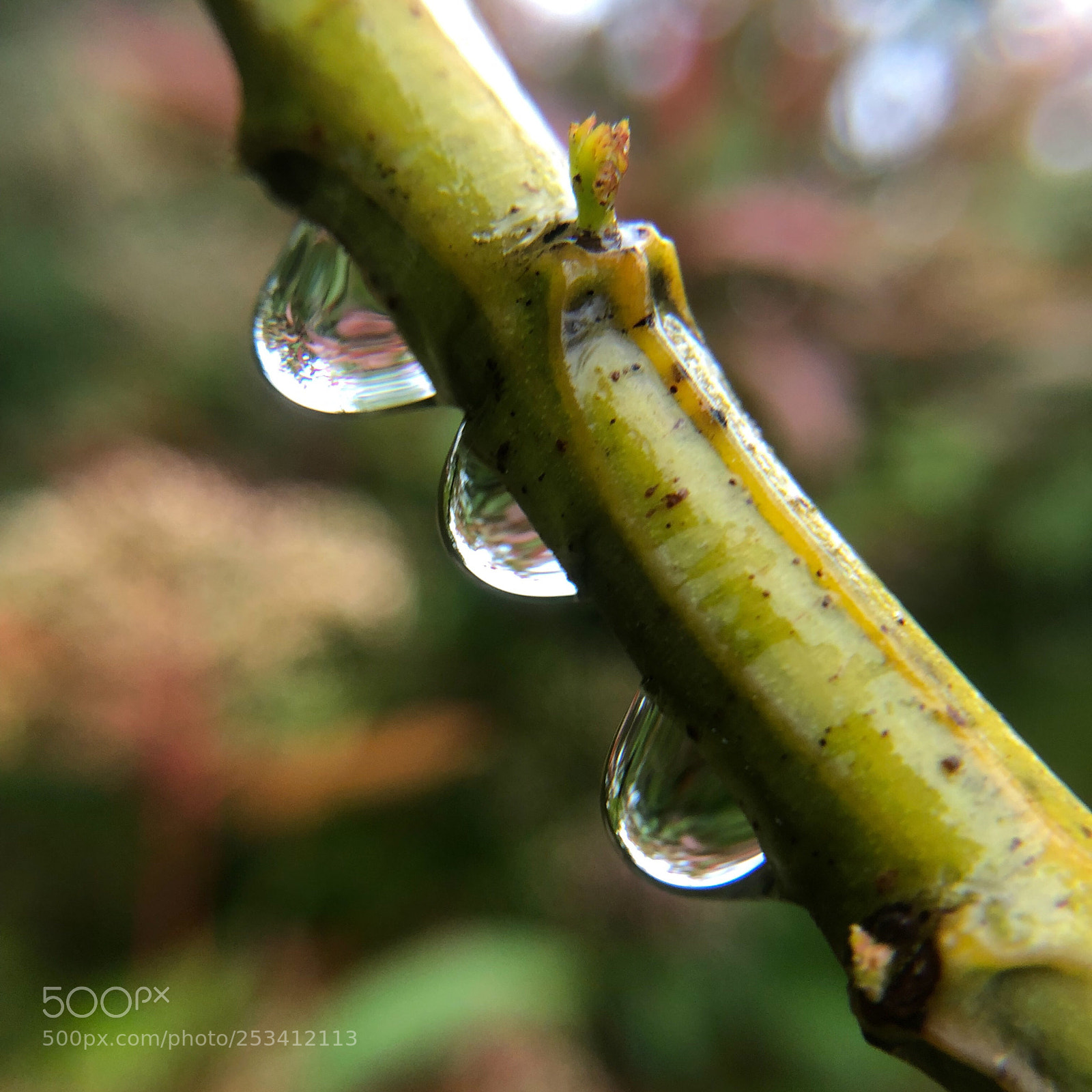 Apple iPhone X sample photo. Pluie sur le var photography