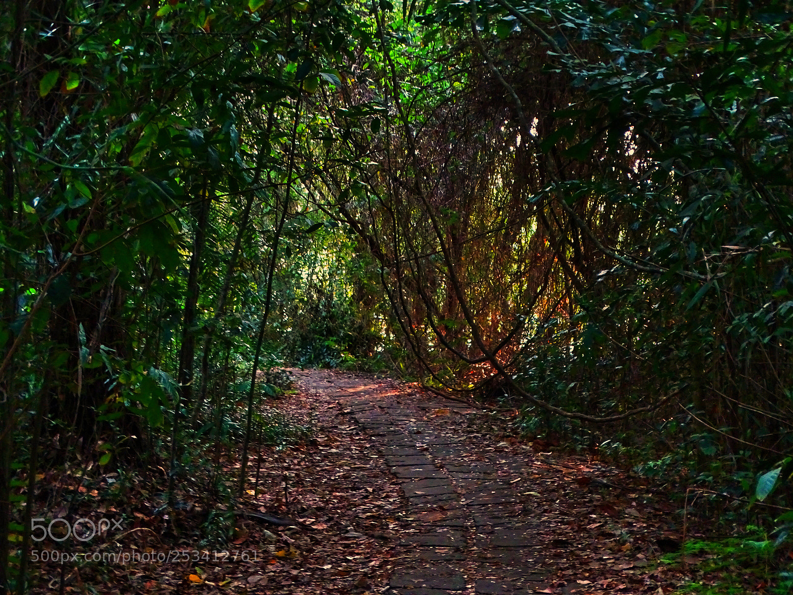 Sony Cyber-shot DSC-HX400V sample photo. Spooky photography