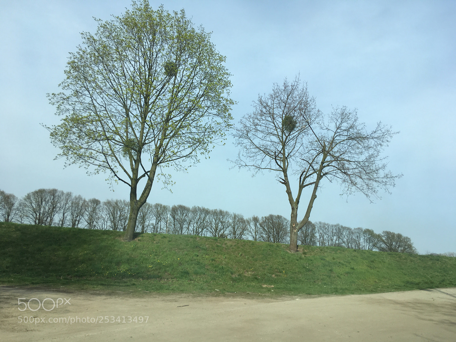 Apple iPhone SE sample photo. Nad odrą photography