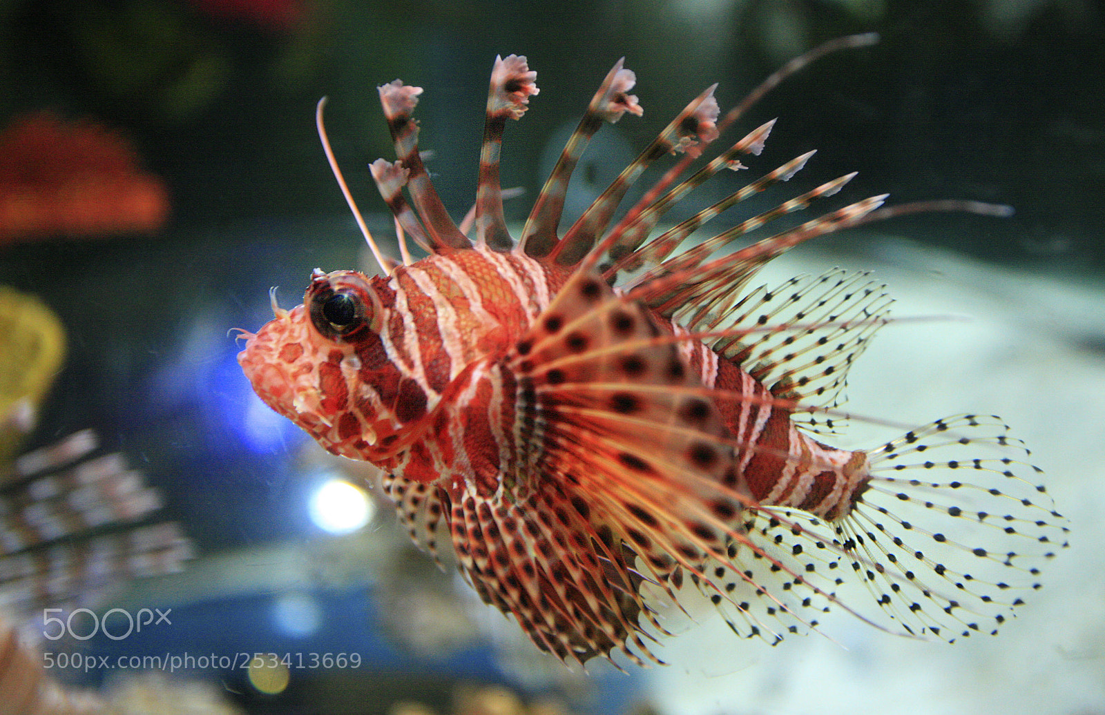 Canon EOS 5D sample photo. Tropical photography