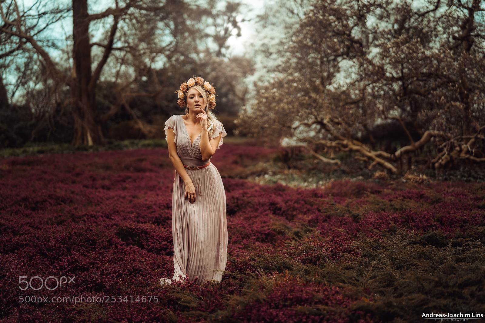 Sony a7R II sample photo. Blast of silence photography
