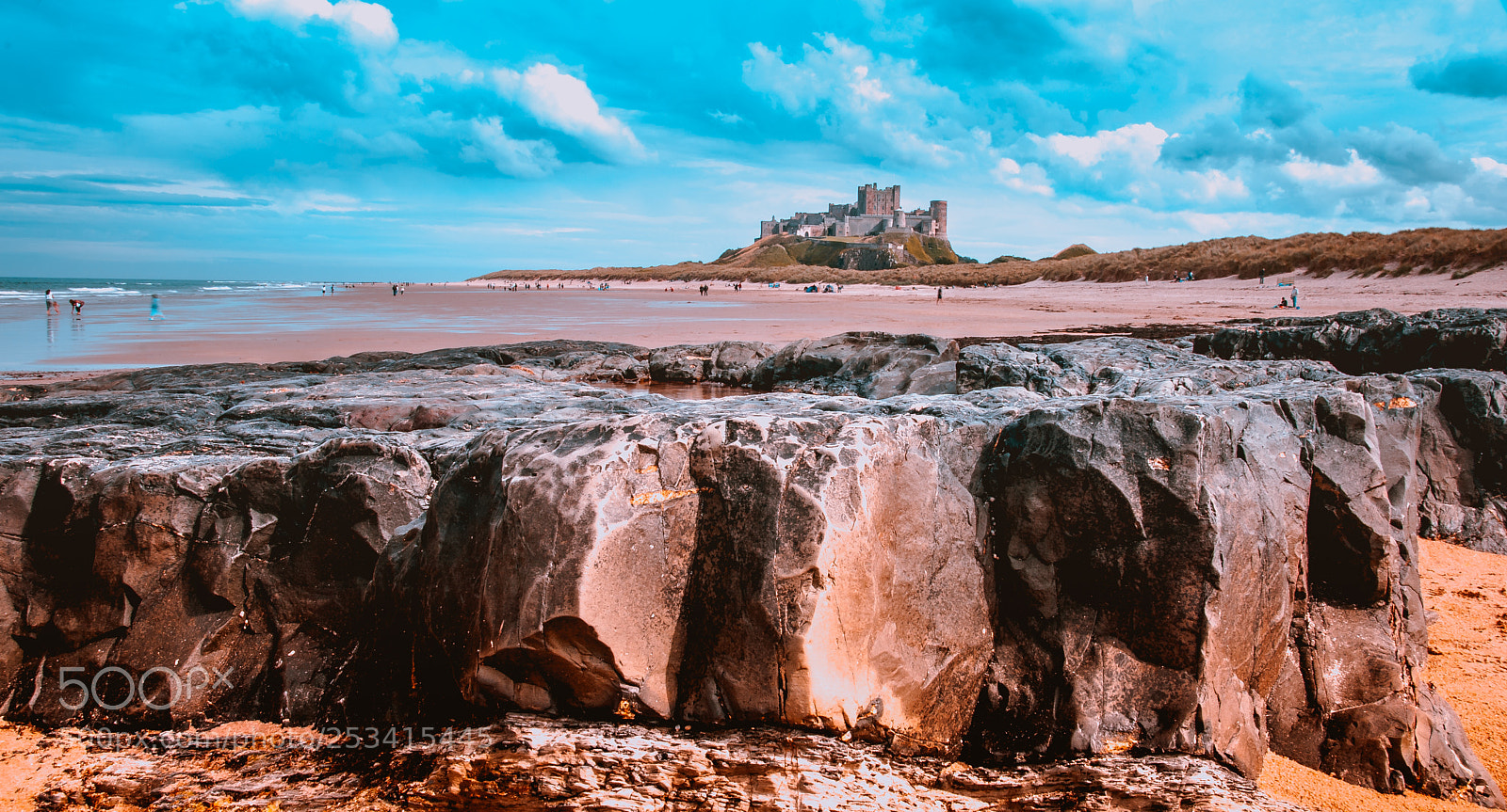 Nikon D80 sample photo. Bamburgh castle photography