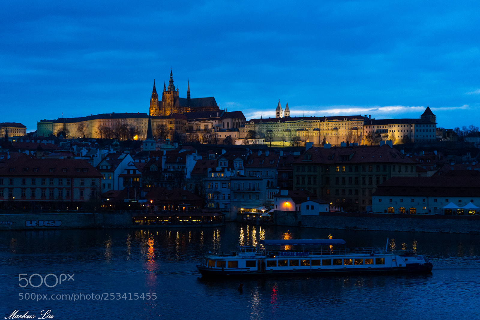 Sony a7 II sample photo. The night castle photography