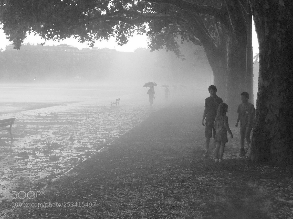 Panasonic DMC-TZ7 sample photo. Under the storm photography