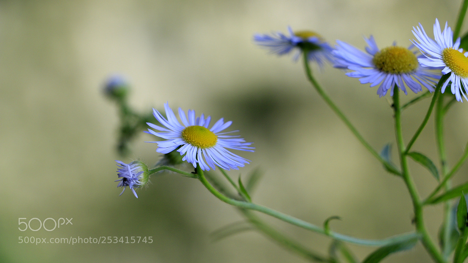 Canon EOS 70D sample photo. Riverbank photography
