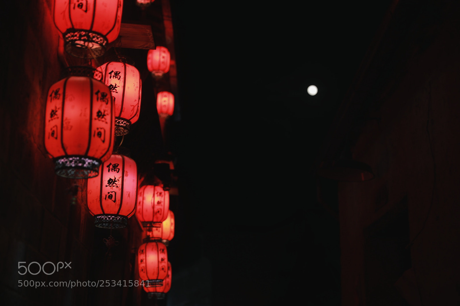 Canon EOS 5D Mark IV sample photo. Untitled photography