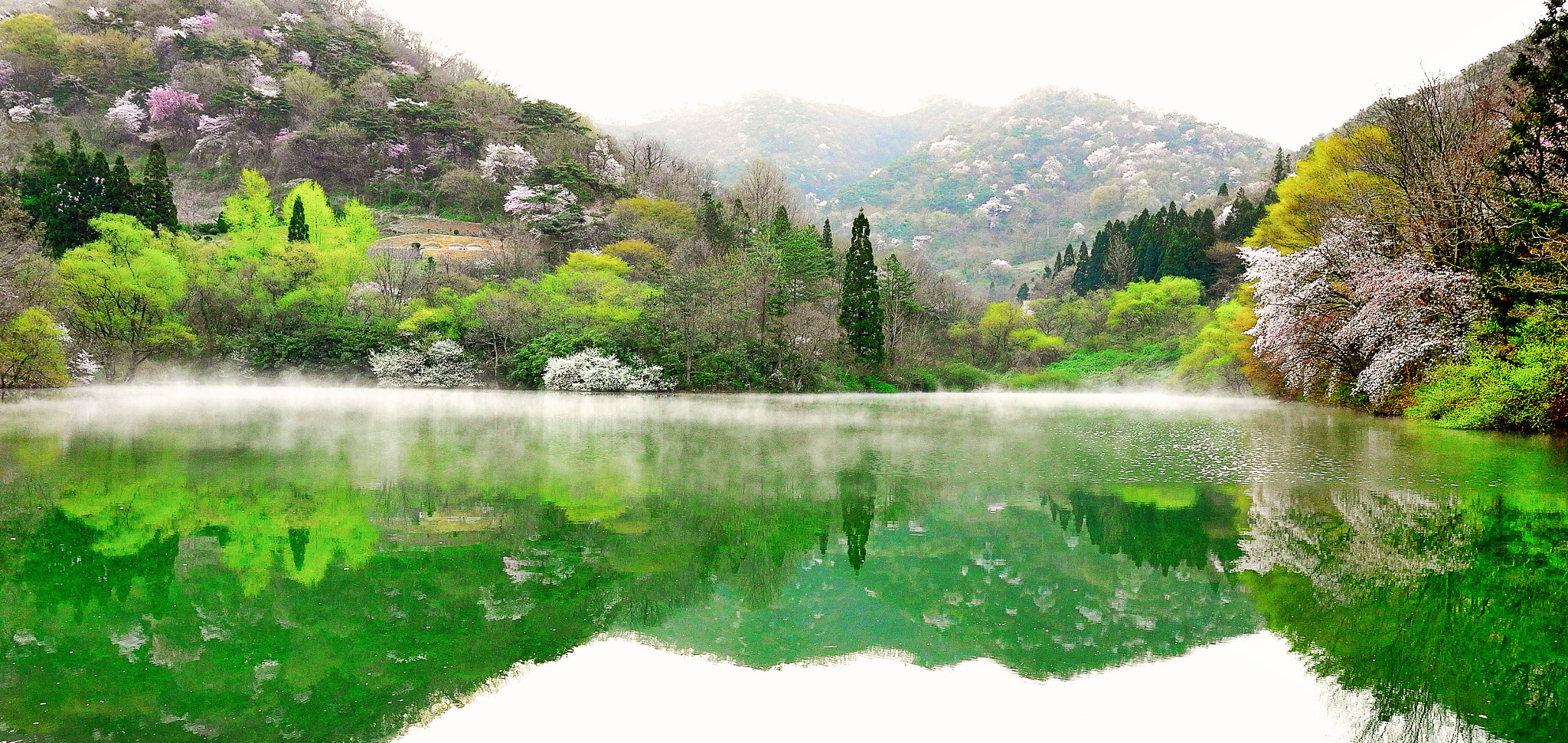 Leica X Vario sample photo. Fog on the lake, spring morning photography