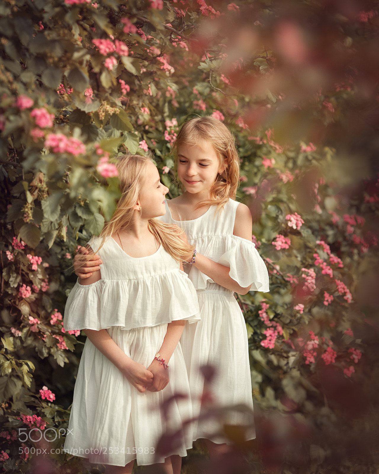 Canon EOS 5D Mark II sample photo. веб photography