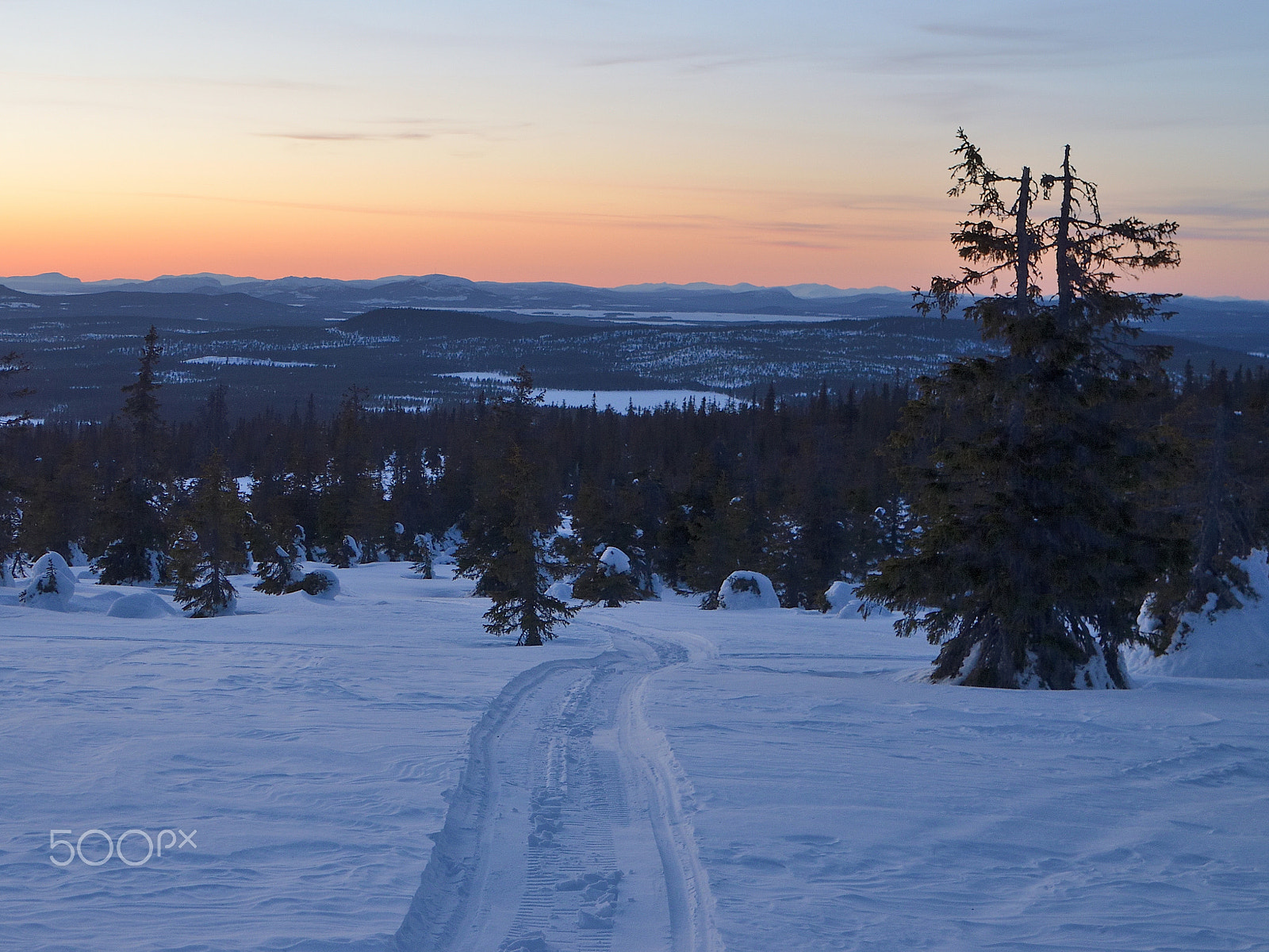 Nikon D5100 + Tamron SP 35mm F1.8 Di VC USD sample photo. Tracks in the taiga photography