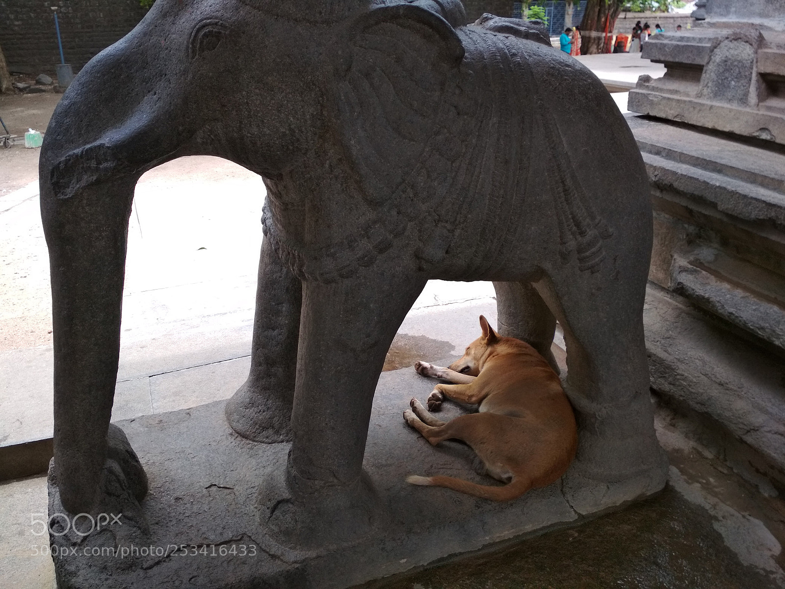 Xiaomi Redmi 4 Pro sample photo. Untitled photography