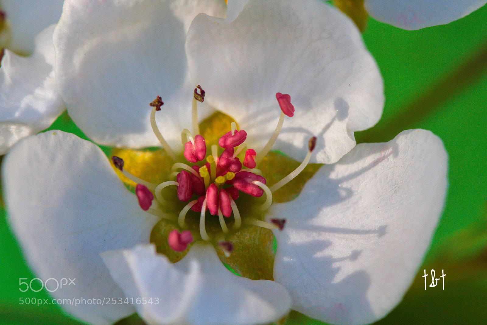 Canon EOS 7D sample photo. Untitled photography
