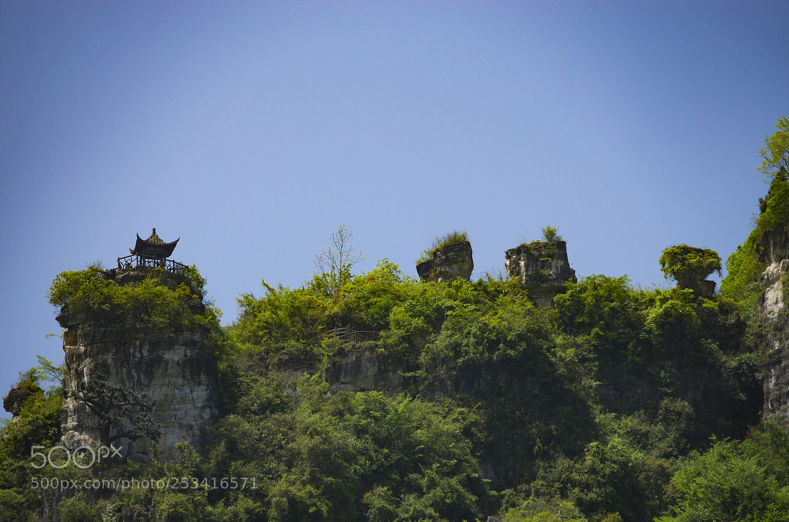 Pentax K-5 sample photo. 西陵灯影 photography