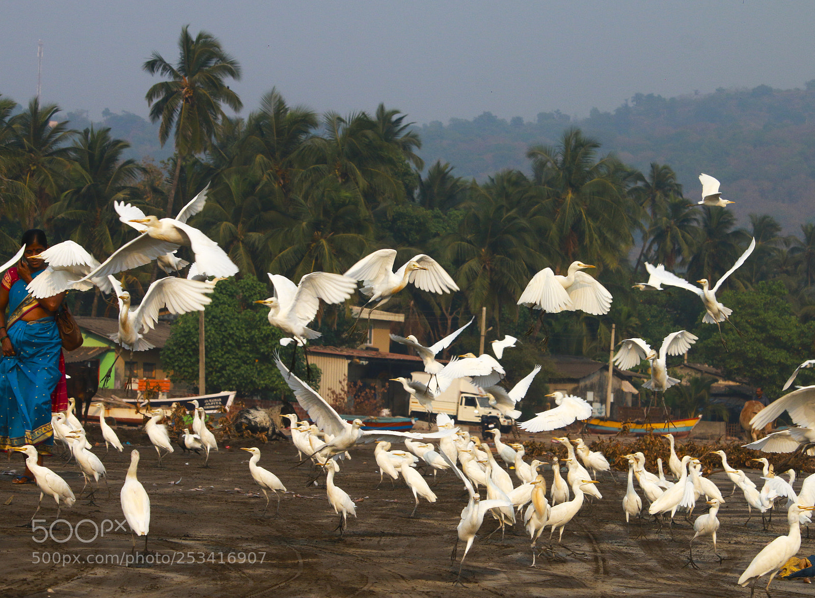 Canon EOS 70D sample photo. In the land of photography