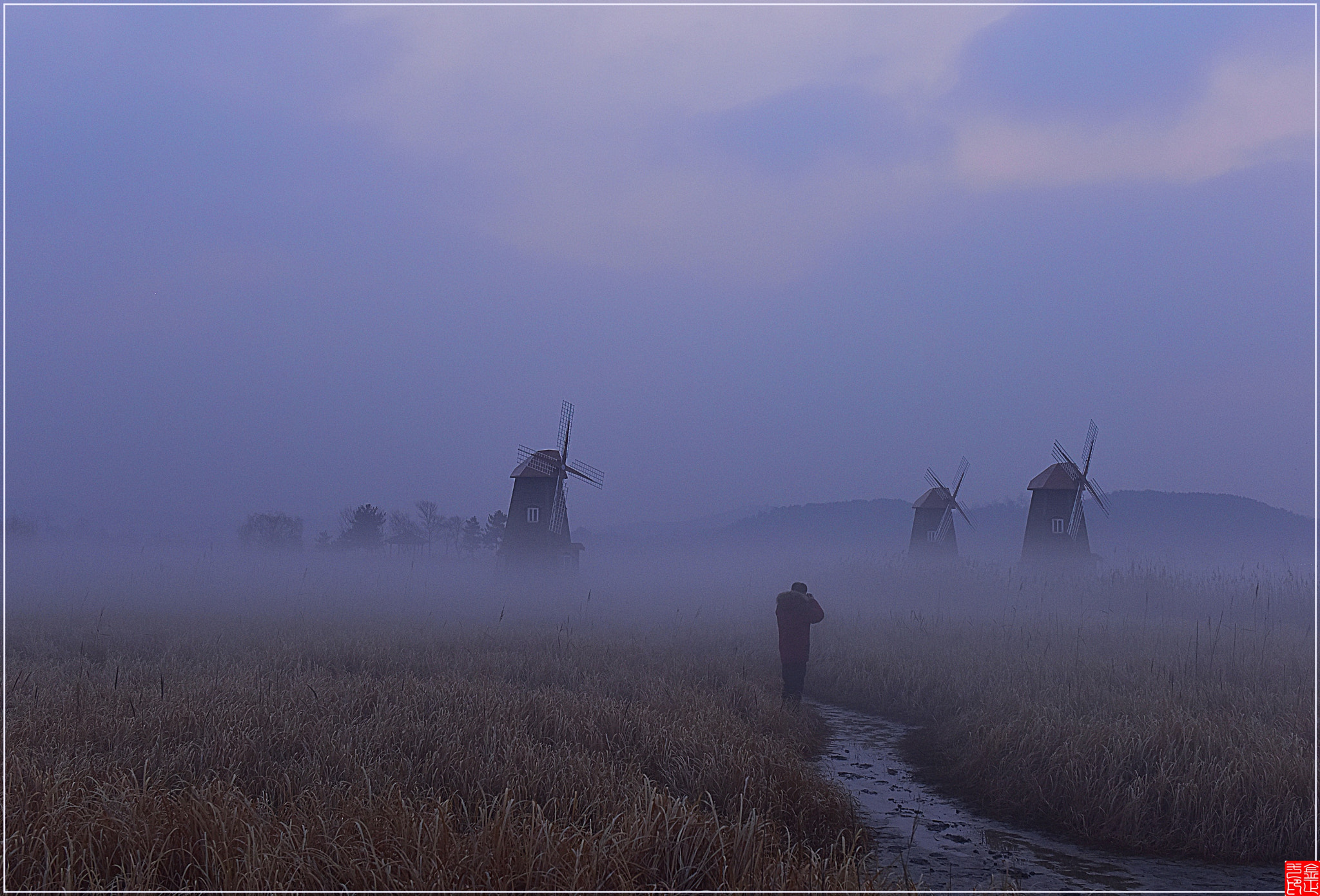 Nikon AF-S Nikkor 24-70mm F2.8G ED sample photo. Fog photography