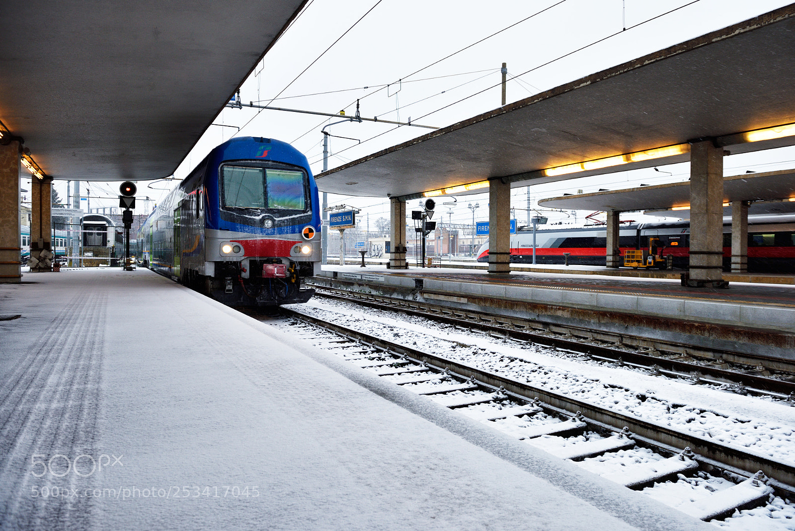 Nikon D810 sample photo. Florence white 01/03/2018 ii photography