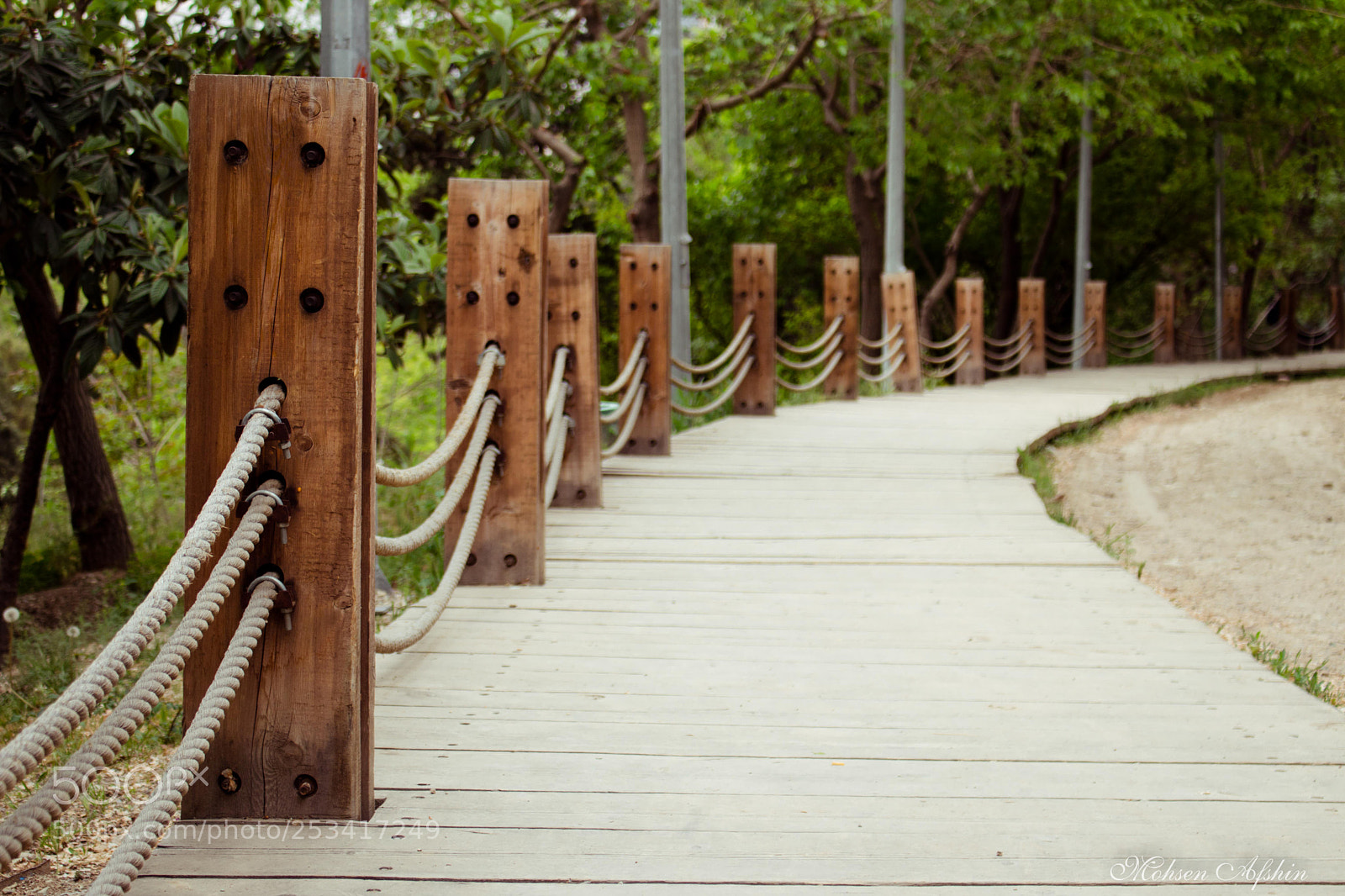 Canon EOS 77D (EOS 9000D / EOS 770D) sample photo. Destiny photography