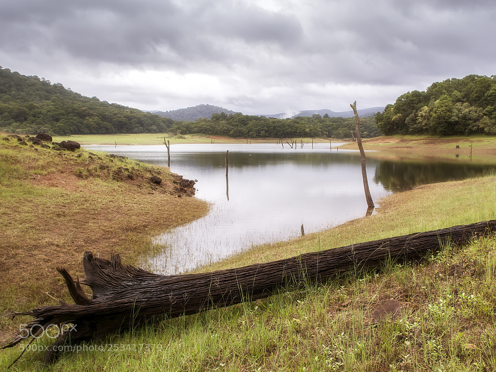 Nikon D7100 sample photo. Kumili - periyar photography