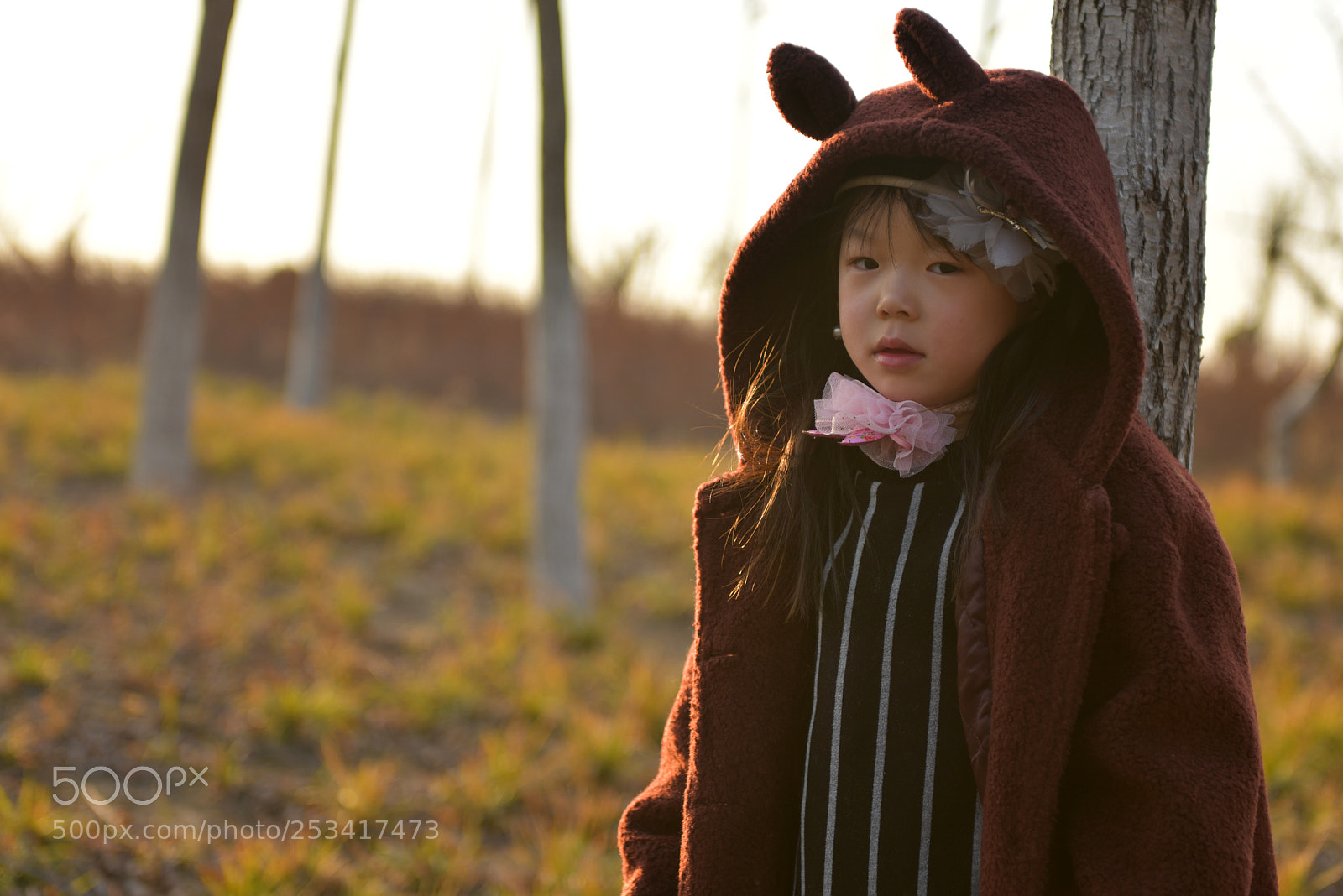 Nikon D810 sample photo. Untitled photography