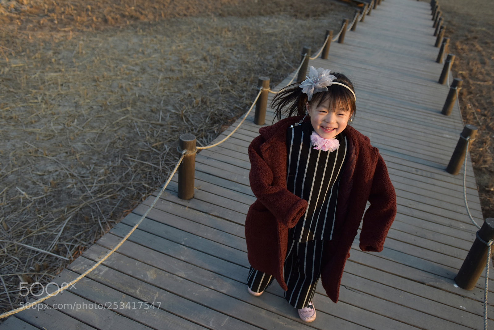 Nikon D810 sample photo. Untitled photography