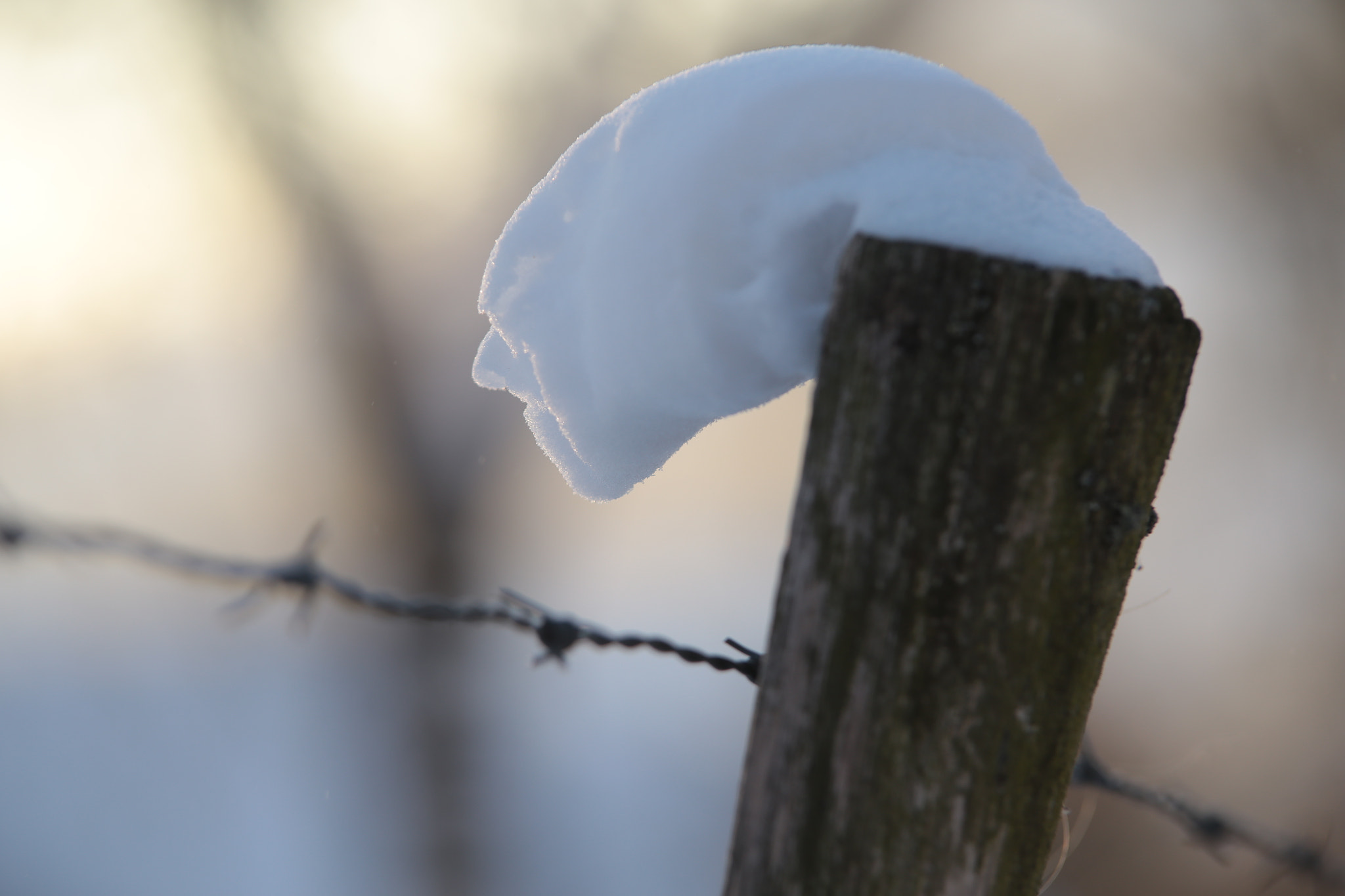 Canon EOS 6D + Tamron SP AF 70-200mm F2.8 Di LD (IF) MACRO sample photo. Human snow photography