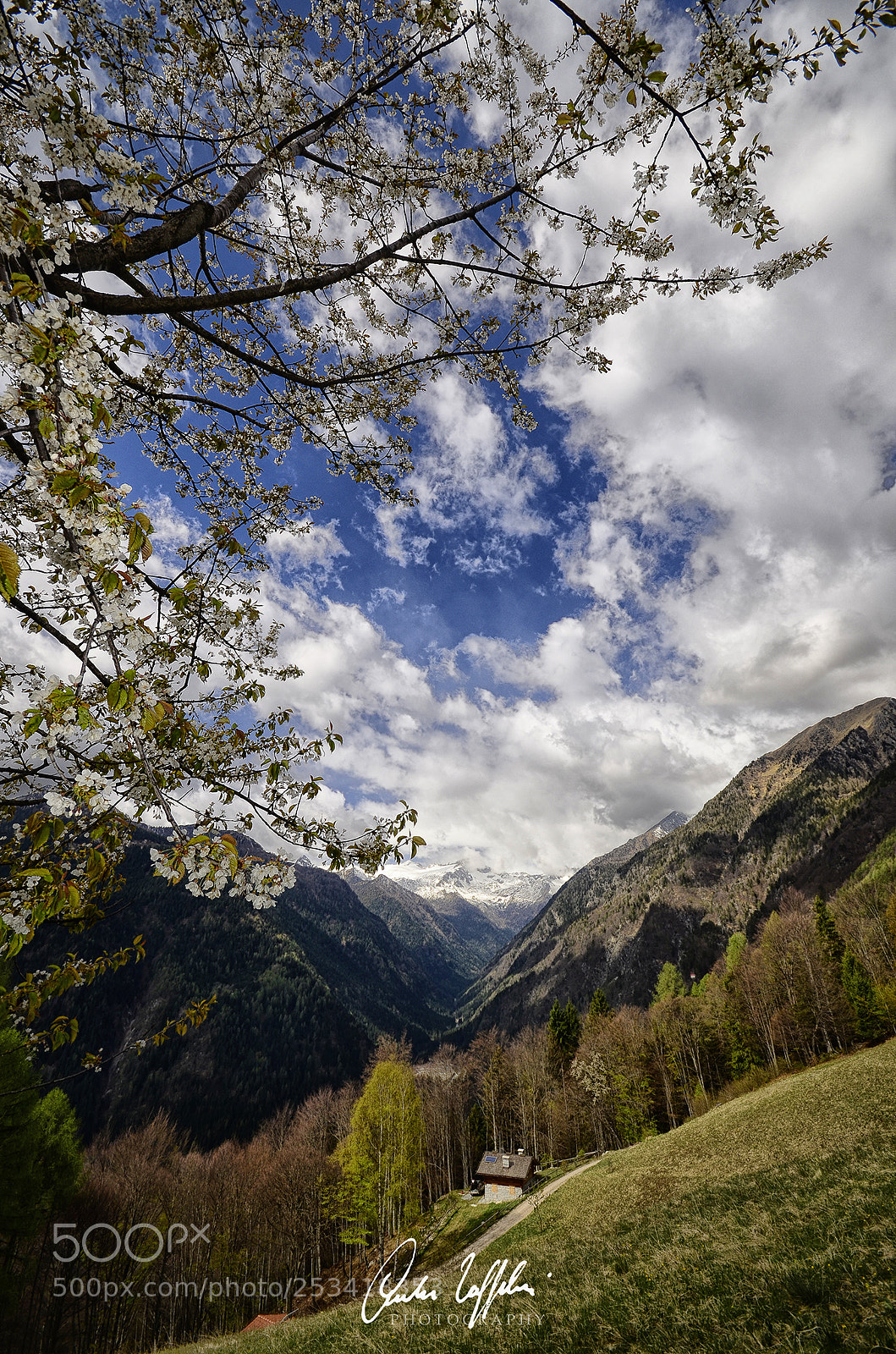 Nikon D7000 sample photo. Spring in coming. alpine photography