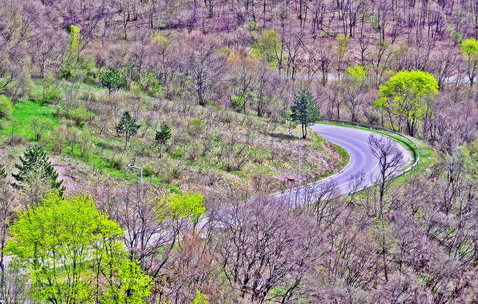 Canon PowerShot SX50 HS sample photo. Spring bend photography