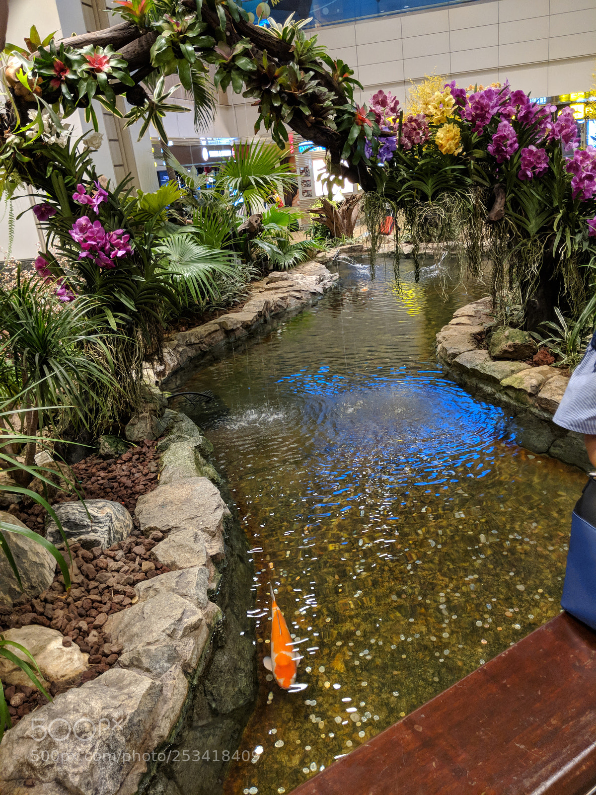 Google Pixel 2 sample photo. Singapore airport photography